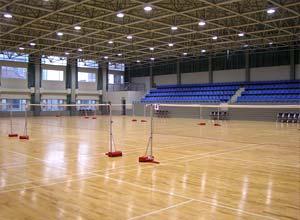 實(shí)木運(yùn)動地板