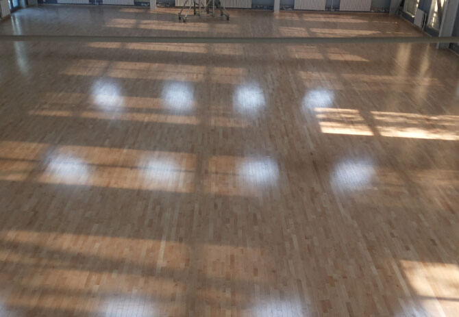 運動木地板 運動木地板