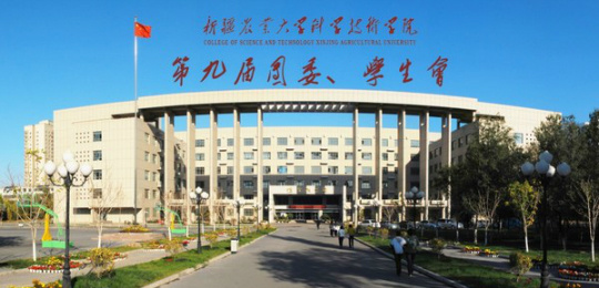 運動木地板,籃球館木地板 運動木地板,籃球館木地板