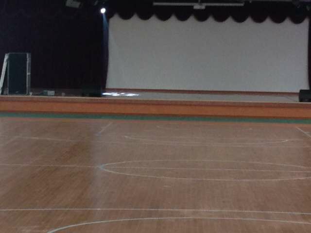 運(yùn)動(dòng)木地板 運(yùn)動(dòng)木地板