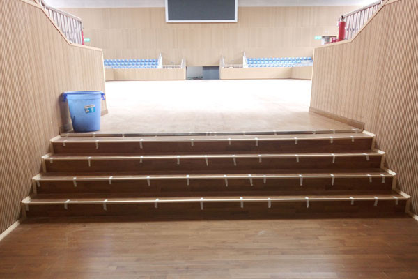 運動木地板 運動木地板