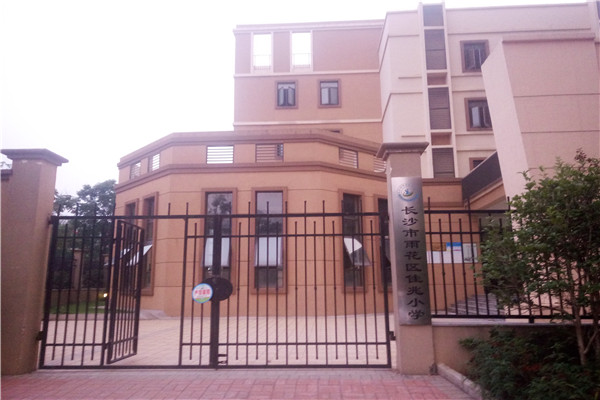 運動木地板 運動木地板