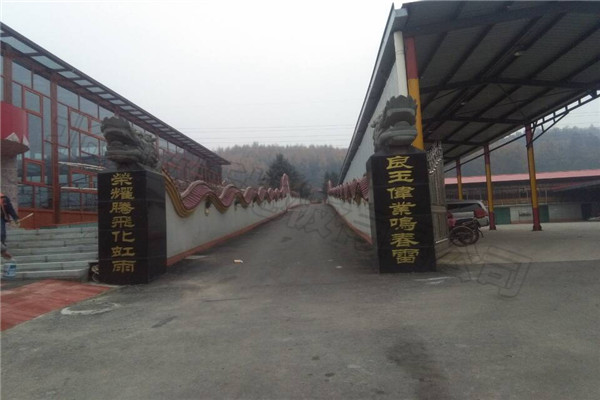 運動木地板 運動木地板