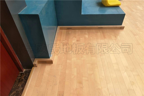 運(yùn)動(dòng)木地板 運(yùn)動(dòng)木地板