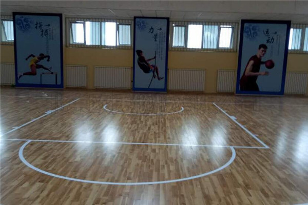 運(yùn)動(dòng)木地板 運(yùn)動(dòng)木地板