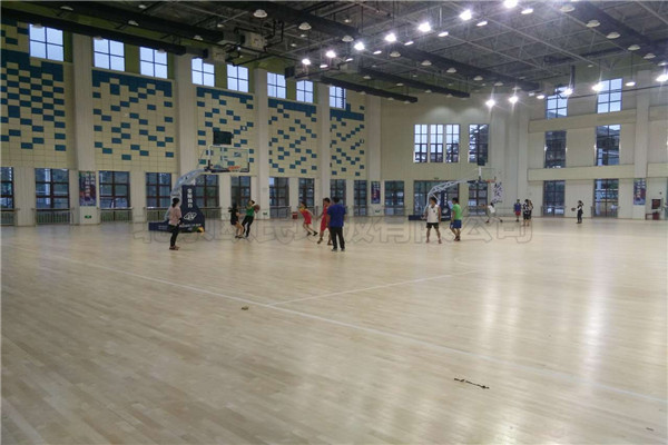 運(yùn)動(dòng)木地板 運(yùn)動(dòng)木地板